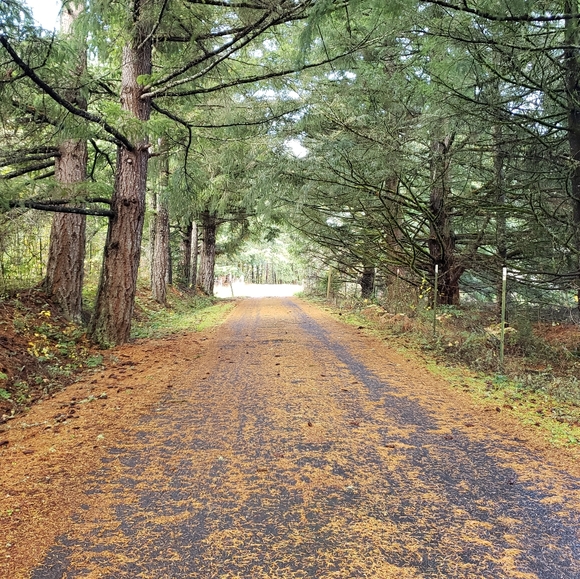 Meet your Posher, Katy - Picture 3 of 5